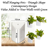 Wall Hanging Planter Pots Box Vertical Garden