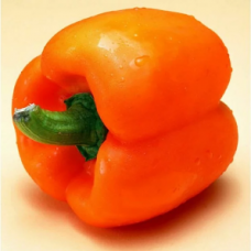 Capsicum Orange