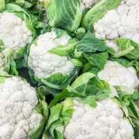 Cauliflower