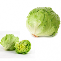 Lettuce Ice Burg