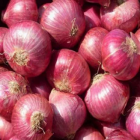 Onion Red