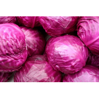 Red Cabbage