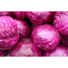 Red Cabbage