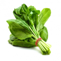 Spinach