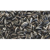 Sunflower Seeds 250gm