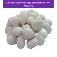 Aquarium / Garden Decor White Medium Size Polished Marble Pebbles Stone Aquarium Substrate 1Kg - Kandharam™